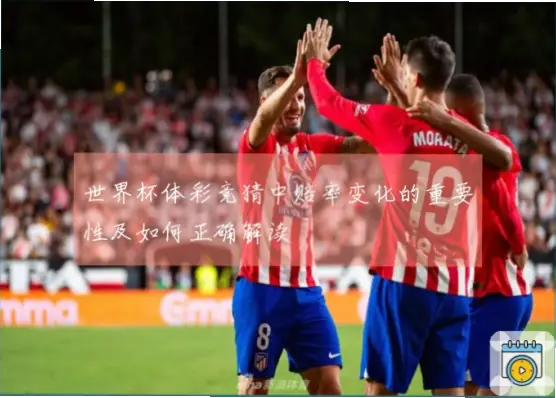 体彩世界杯赔率为何让你亏钱？